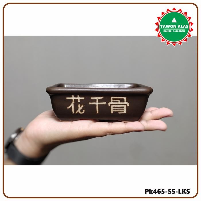 Pot Bonsai Keramik Kecil Mame Mini Small