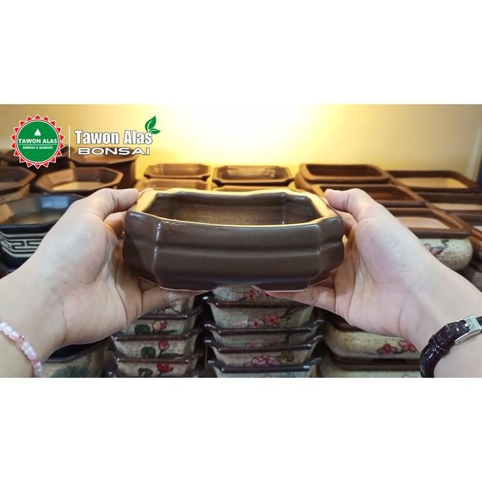 Pot Keramik Bonsai Segi Empat Persegi Kecil Small Mini Mame