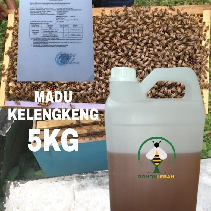 

Madu Kelengkeng 100% Original Manis & Gurih Teruji Laboratorium 5000 Gr P-Irt:2073603010386-27 -