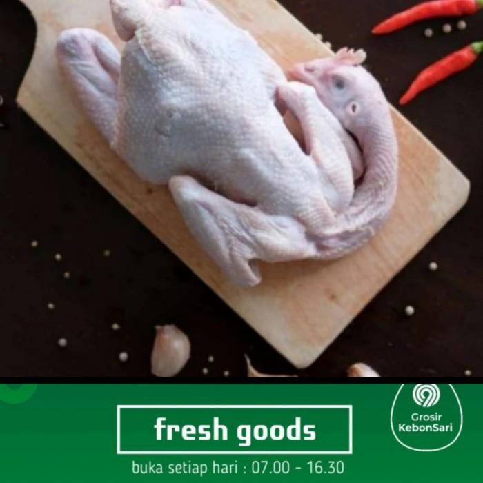 

(Expert) ayam kampung pejantan utuh segar 600-700 gr (PO H+1)