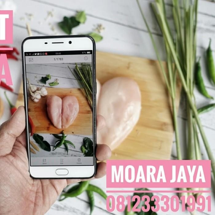 

(Expert) Fillet Dada Ayam 500 gr