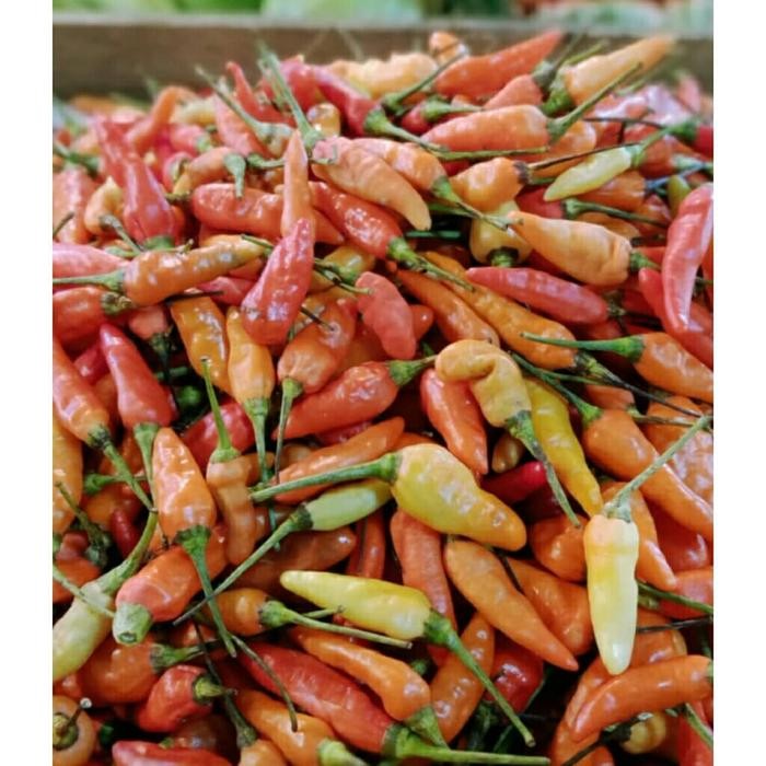 

New Cabe Rawit Merah / 250 gr