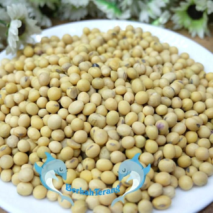 

New Kacang Kedelai 1kg SUPER / Kacang Kedele