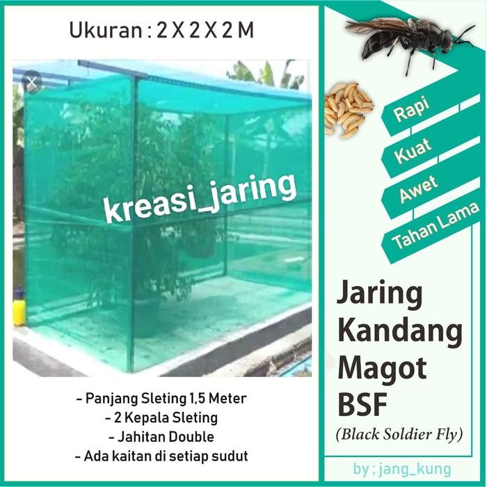 kandang bsf/magot jaring Casa hijau