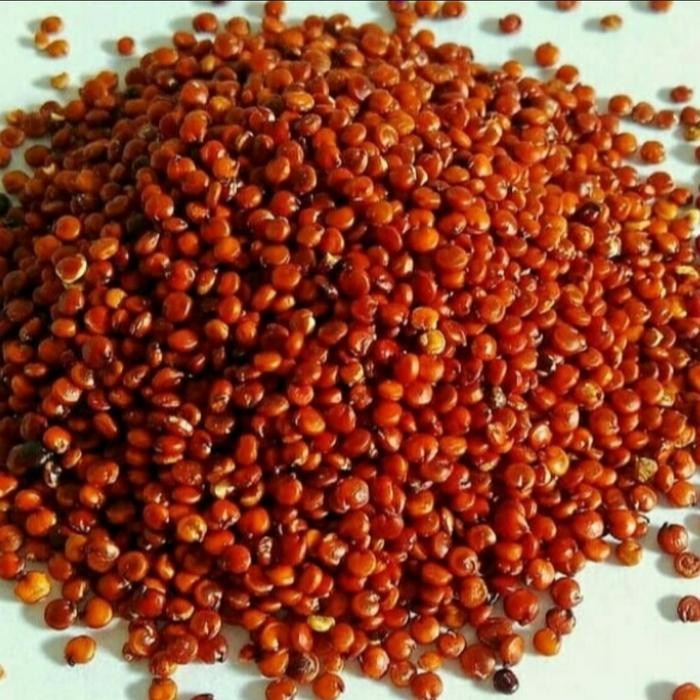 

Organic Red Quinoa 1 Kg (Kinoa Merah ) IMPORT PREMIUM