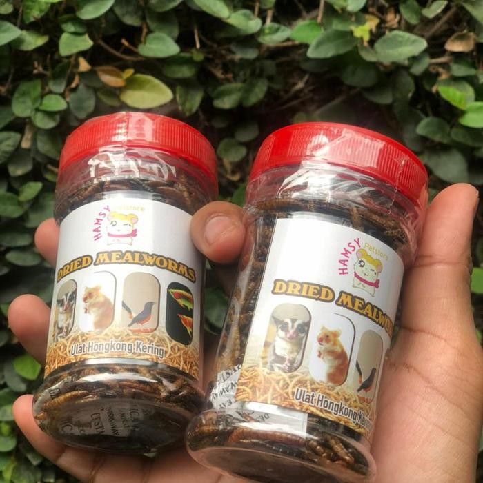 ulat hongkong kering untuk hamster landak ikan arwana , dried mealwo