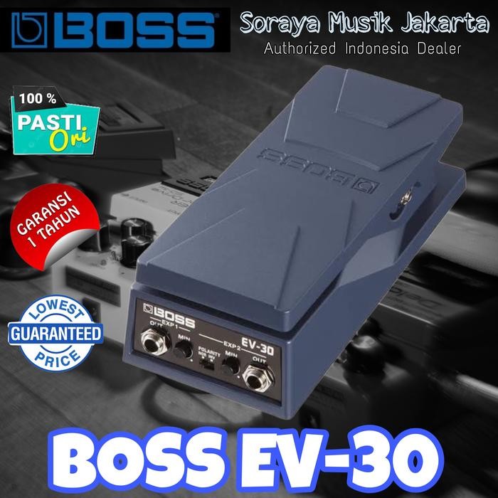 Boss EV-30 Dual Expression Pedal