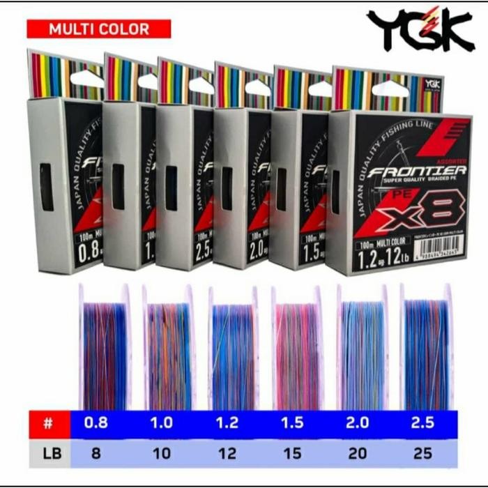 Senar PE YGK Frontier X8 100m Multicolor