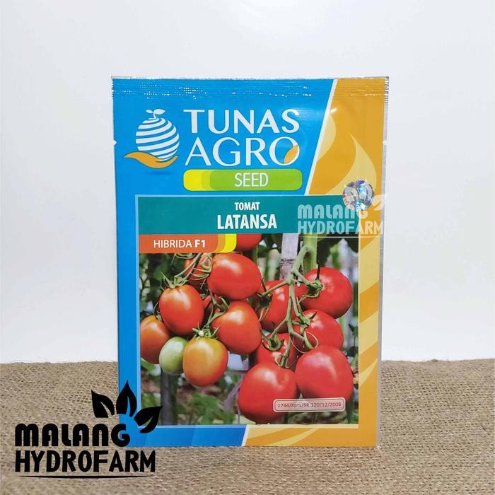 Tn Benih Tomat Buah Latansa F1 10 Gram Tunas Agro Dataran Tinggi Bibit Biji Sayur Lathansa Jus Merah
