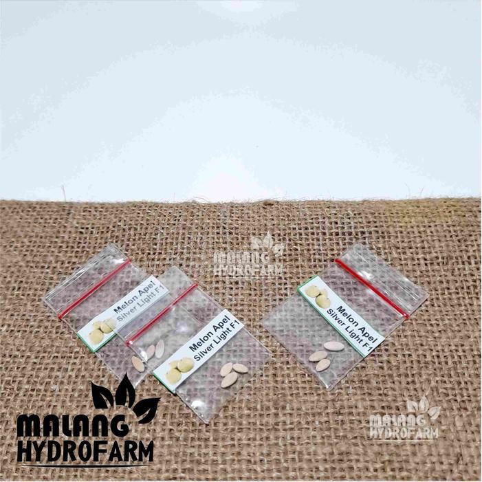 Tn Benih Melon Apel Silver Light F1 Unggulan Berkualitas Biji Bibit Repack Buah Putih Mini Segar