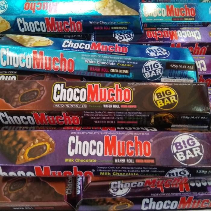 

(Expert) choco mucho big bar
