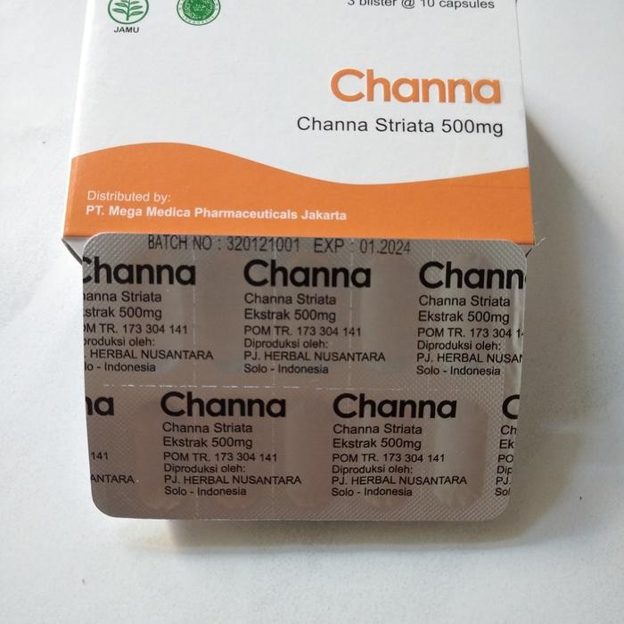 

terlaris channa striata, kapsul albumin, 500mg ekstrak ikan gabus jual perstrip