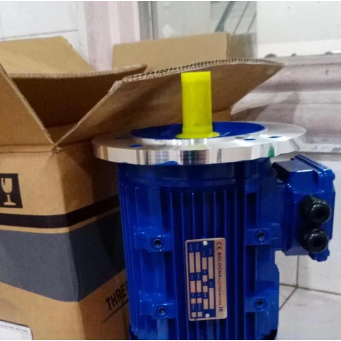 1/2HP 0.37Kw 1Phase Bologna FLANGE DINAMO/DYNAMO/Elektro Motor Electro