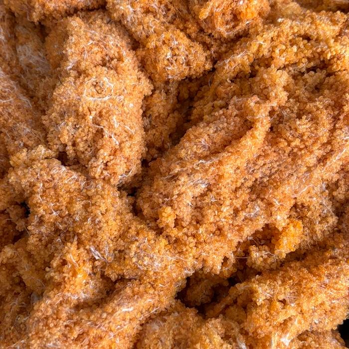 Telur Ikan Terbang, Telur Ikan Tuing-Tuing, Asli Dobo, Maluku, Asli Langsung Dr Nelayan, Kering Dan