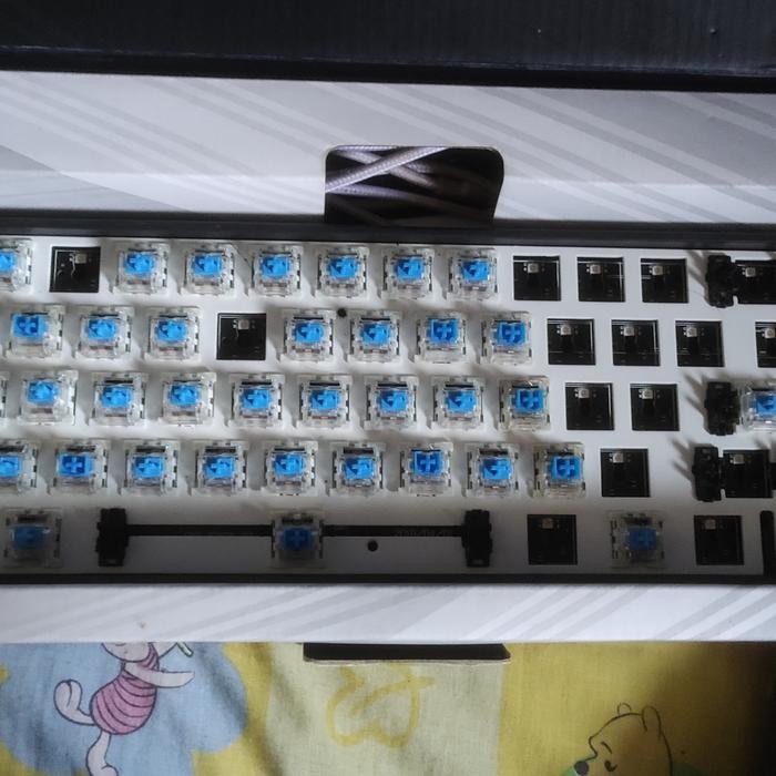 (Expert) Barebone Daxa m71 classic Keyboard