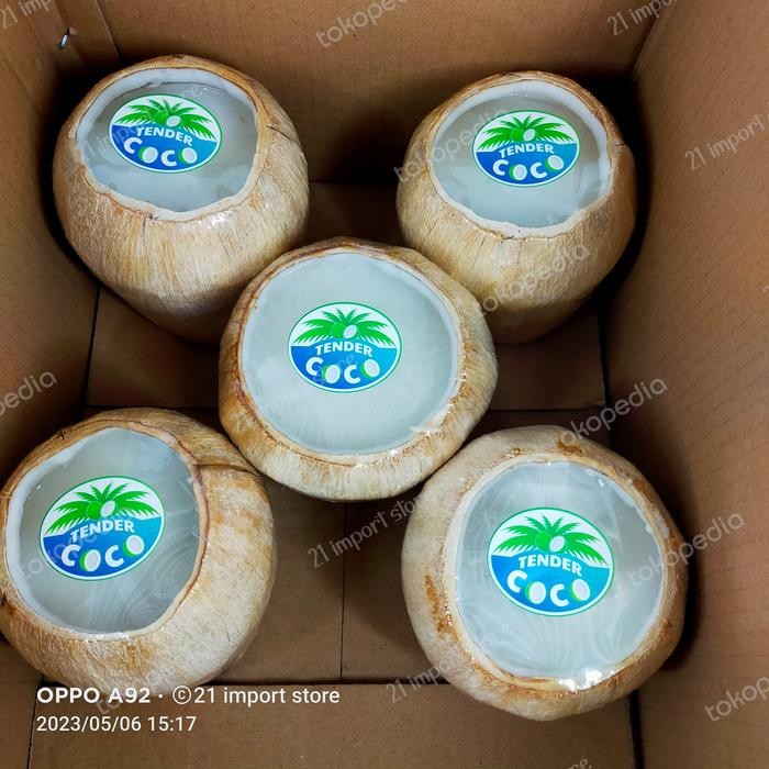 

Puding Kelapa Thai Di Dalam Batok Coconut Pudding Jelly 1 pcs