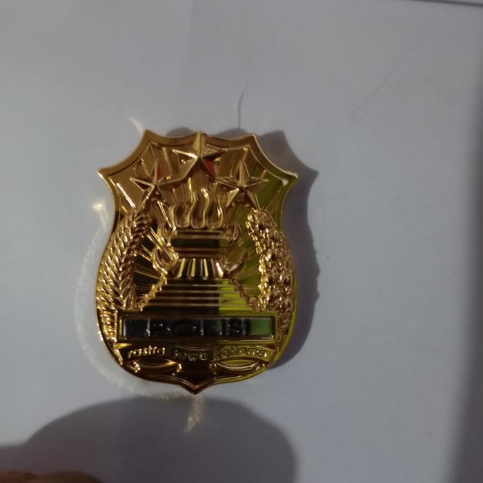 pin kewenangan polri kecil