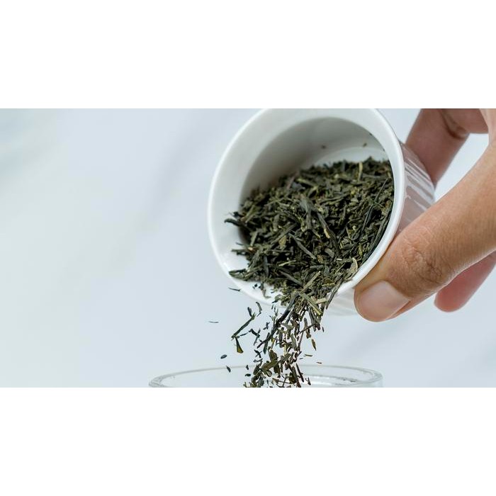 

Sencha