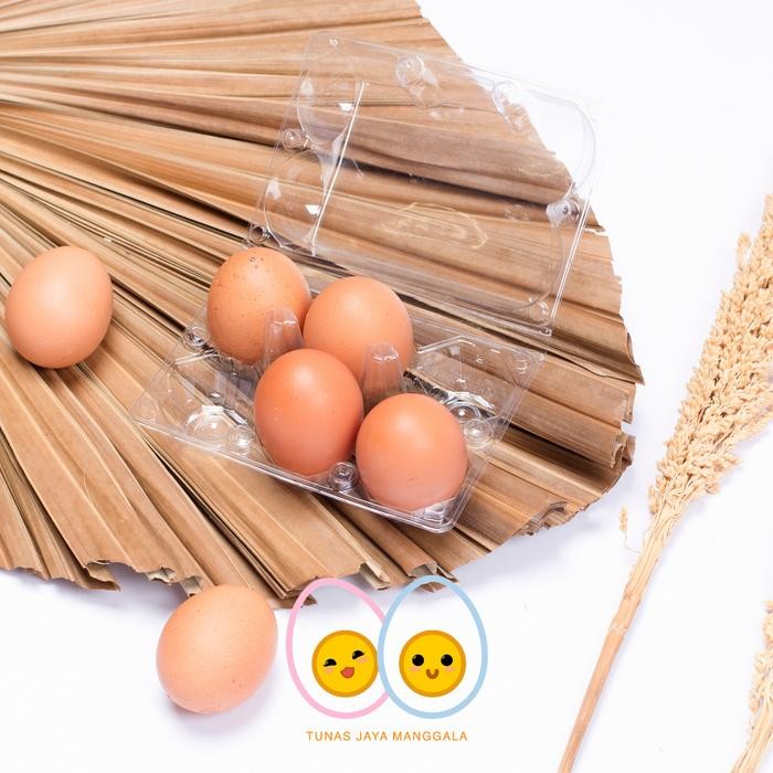 Mika Telur isi 6/ Egg Tray / Tray Mika Telur