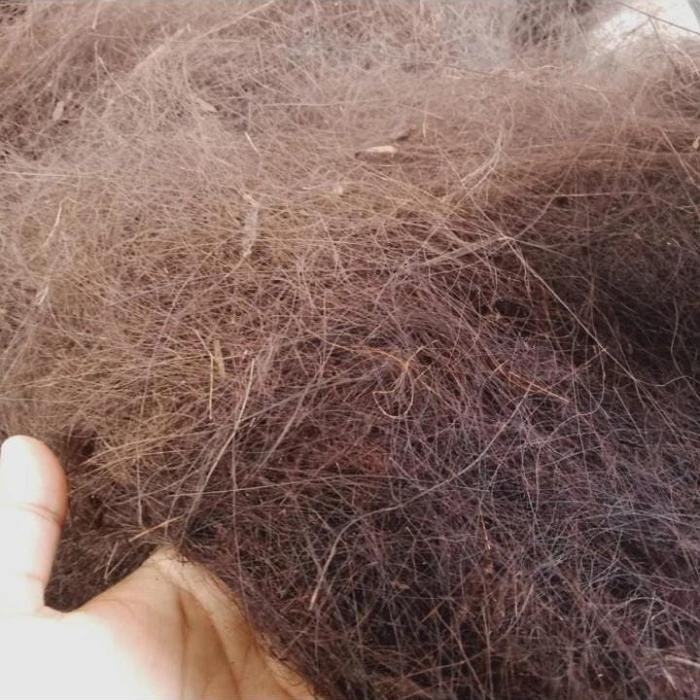 Ijuk Resapan untuk Filter Air, Septic tank, Resapan Taman dll - Kiloan