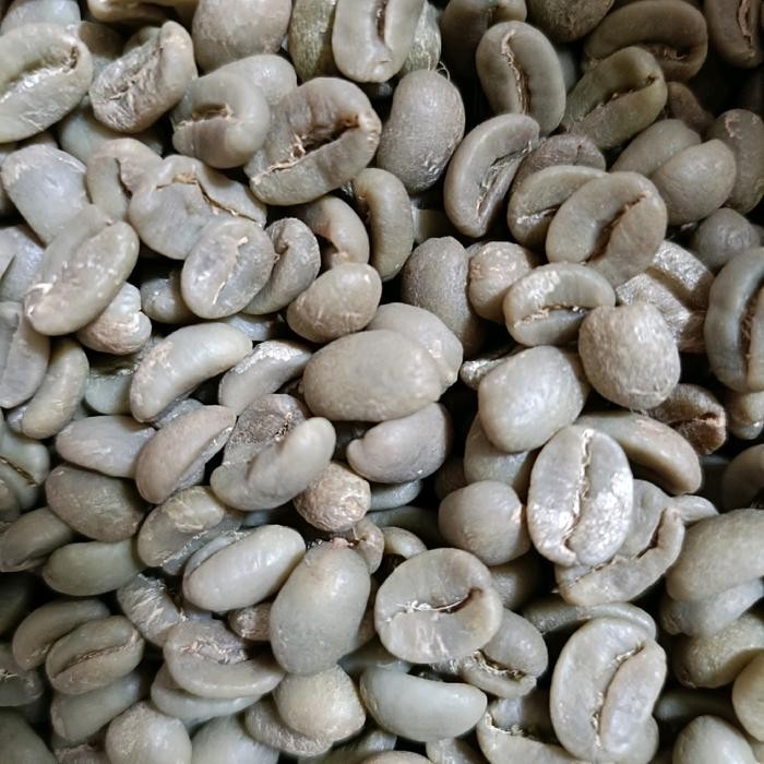 

Green Bean Arabika Gayo Luwak Liar