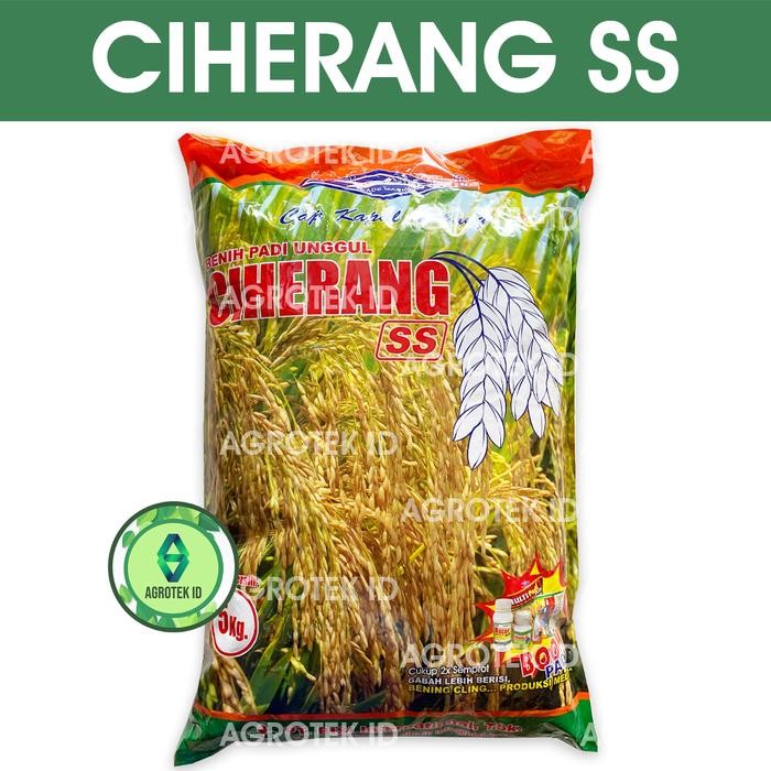 ASLI Benih Padi CIHERANG SS 5 Kg Cap Kapal Terbang READY STOCK