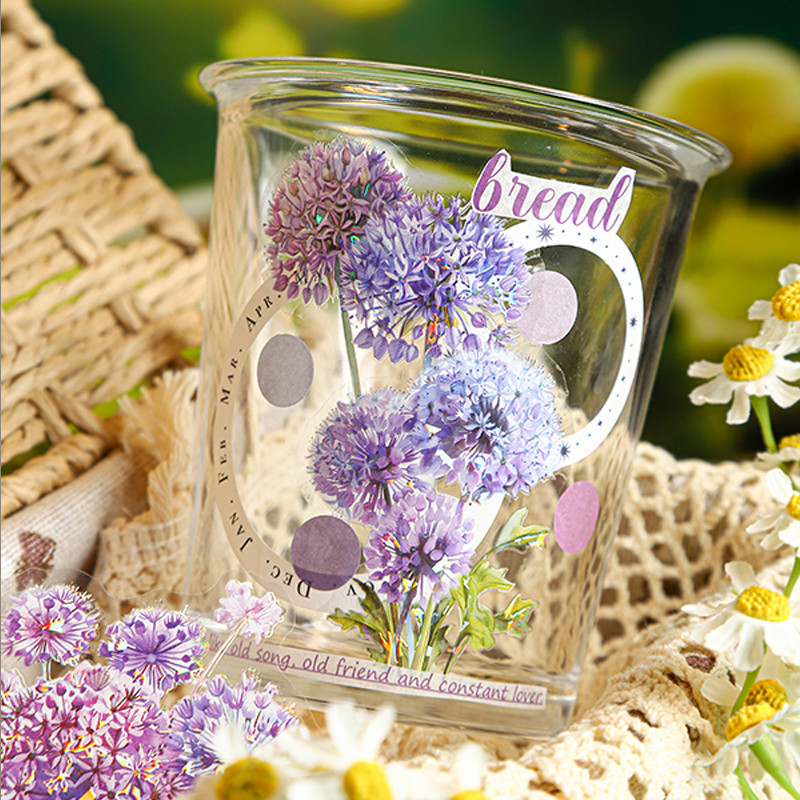 

6Style 10Pcs/bag Dandelion's Promise Series Shell Light Sticker Pack DIY Material Handbook