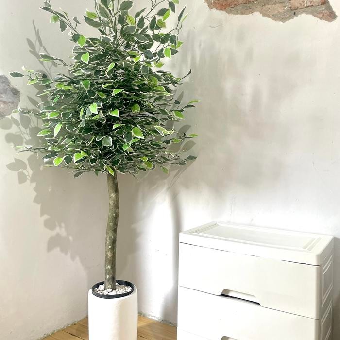 pohon artificial besar tinggi hiasan ruang tamu Aesthetic - daun beringin satu set Pot