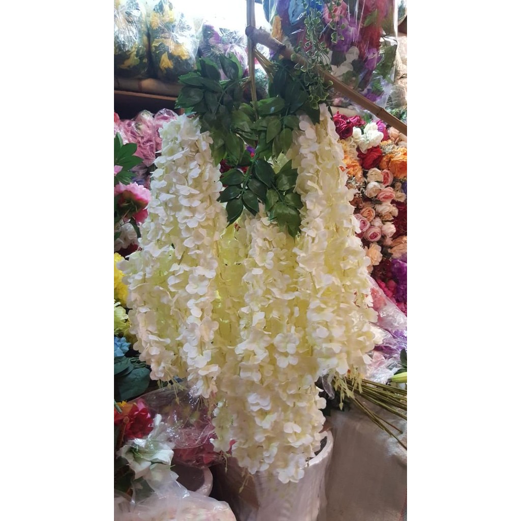 Bunga Wisteria JUMBO