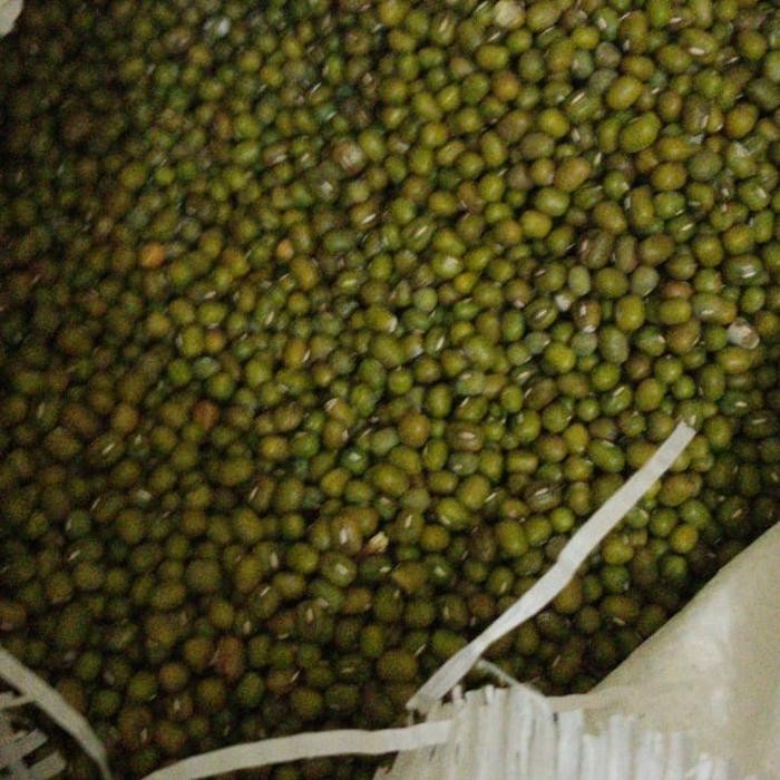 

4ZMI Kacang Hijau Import Kualitas Super Cepat Lunak