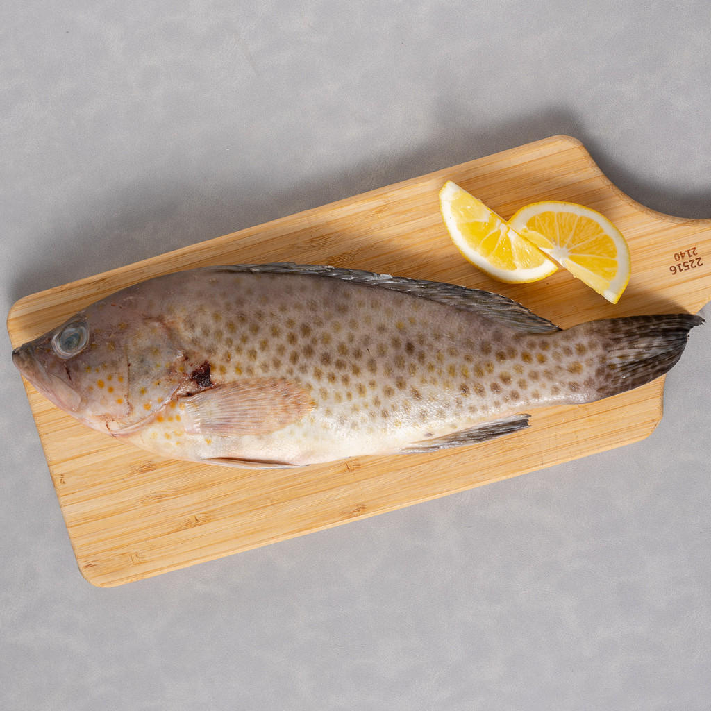 

Sayurbox Selection Ikan Kerapu Utuh 400 - 600 gram