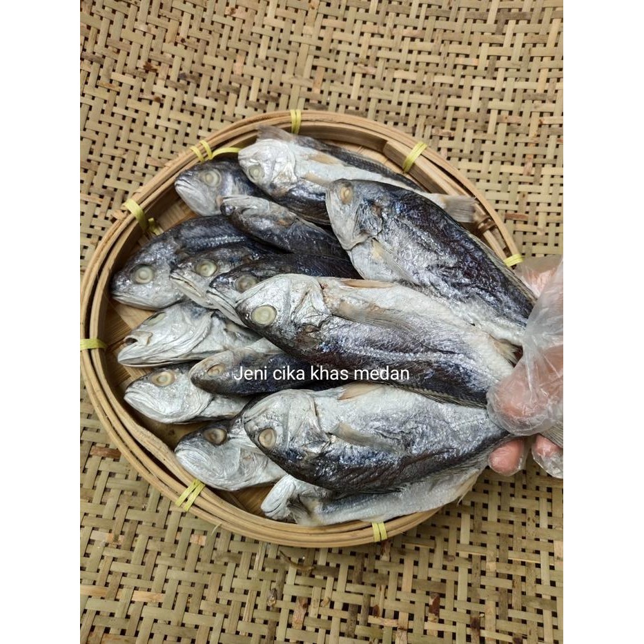 

IKAN GULAMO BULAT KHAS MEDAN ALAMI MAKANAN FROZEN ASIN