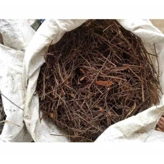 Mode Vintage Akar Pakis Cacah Karungan