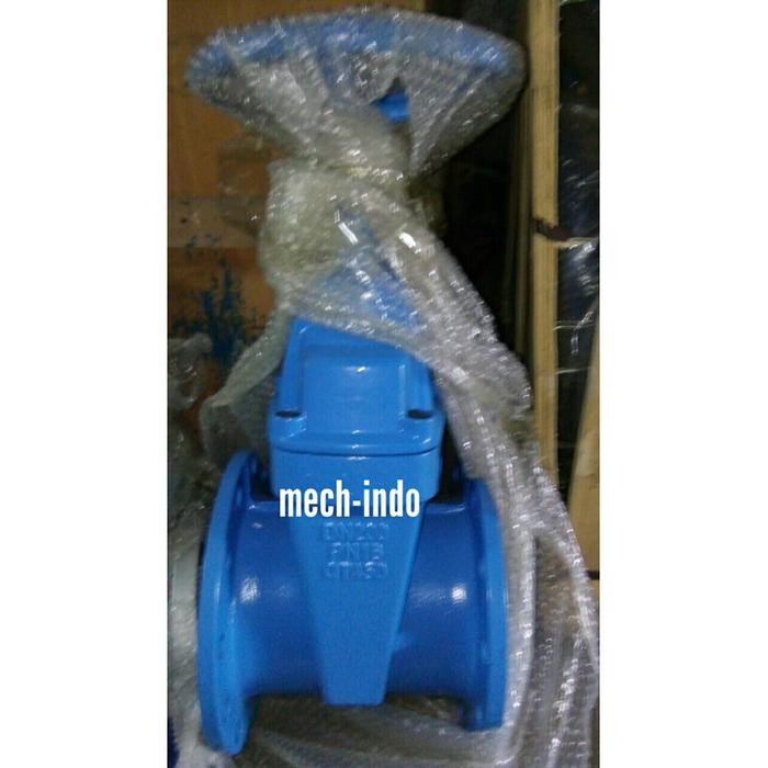Gate Valve Resilient 6"