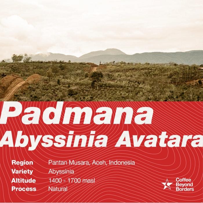 

Arabica Green Beans - Indonesia Padmana Abyssinia Avatara