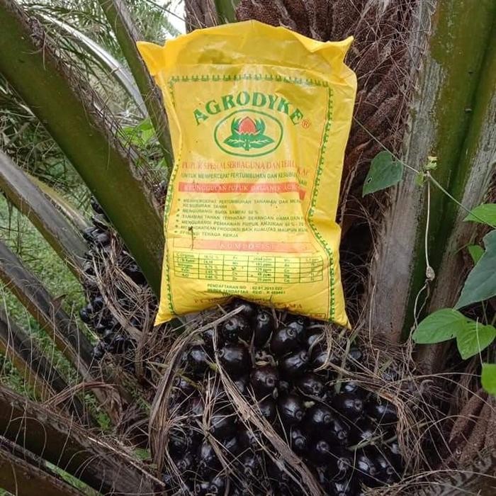 PUPUK AGRODYKE