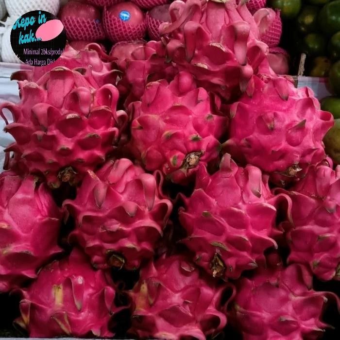 

SIAPKIRIM Buah Naga Merah Segar Grade A 1 Kg READY STOCK
