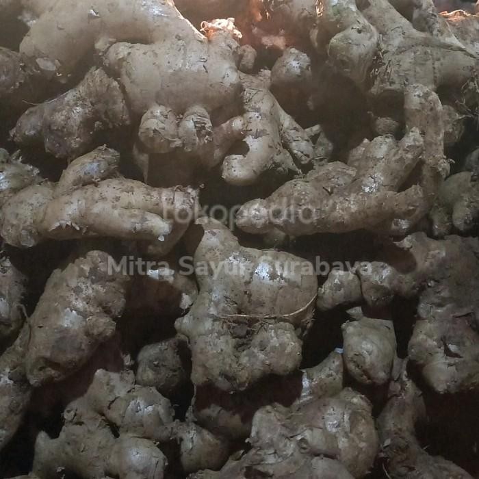 

(Allthebest) jahe lokal segar