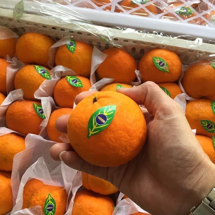 

ORIGINAL Jeruk Wokam Wogan Impor 1 dus/ keranjang READY STOCK