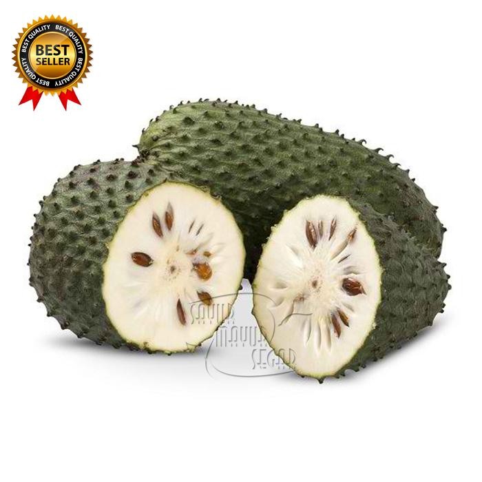 

DISKON Sirsak Fresh Buah Sirsak Segar Perbuah READY STOCK