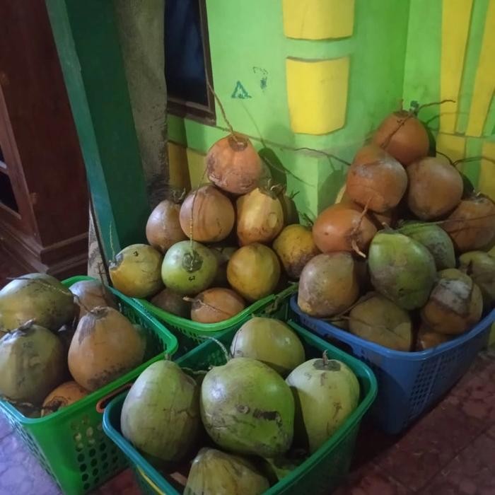 

SIAPKIRIM KELAPA KOPYOR GENJAH, SEGAR KWALITAS A NON KUPAS BESAR ORIGINAL READY STOCK