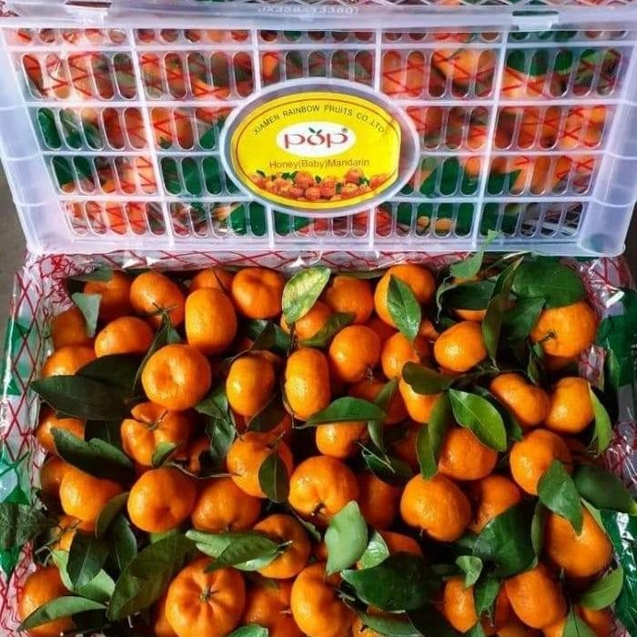 

ASLI buah jeruk santang madu 1 kranjang READY STOCK