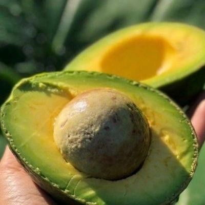 

DISKON Alpukat Mentega - 1 kg READY STOCK