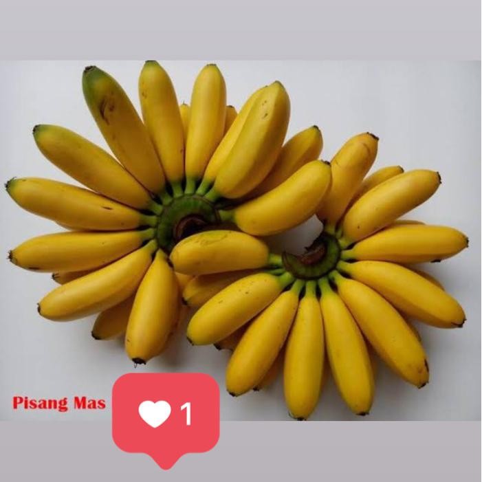 

TERLARIS Pisang mas / pisang mas matang manis / sisir READY STOCK
