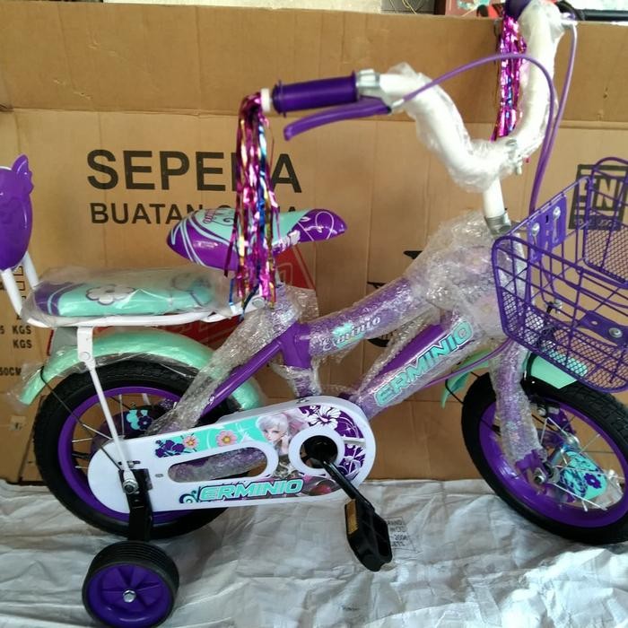 Sepeda Mini 12 Erminio, Keranjang Besi