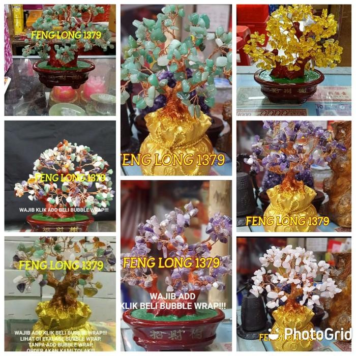 

Pohon Rejeki Pajangan Cao Cai Shu