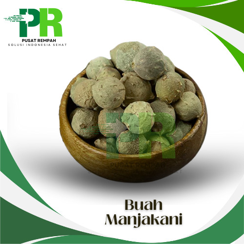 

1kg Buah Manjakani Hijau Alami Quercus Infectoria Premium / Bahan Herbal Dan Kesehatan Buah Majakani Kering Utuh 1 Kilogram Pusatrempah