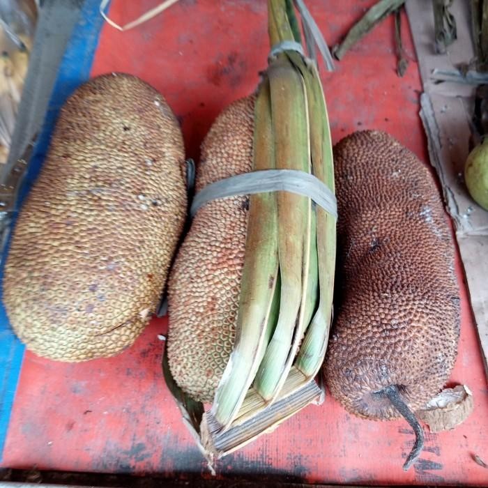 

ASLI Buah Cempedak Manis Enak Segar READY STOCK
