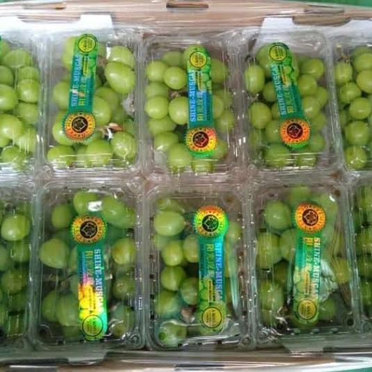 

TERLARIS Anggur Shine Muscat Pack READY STOCK