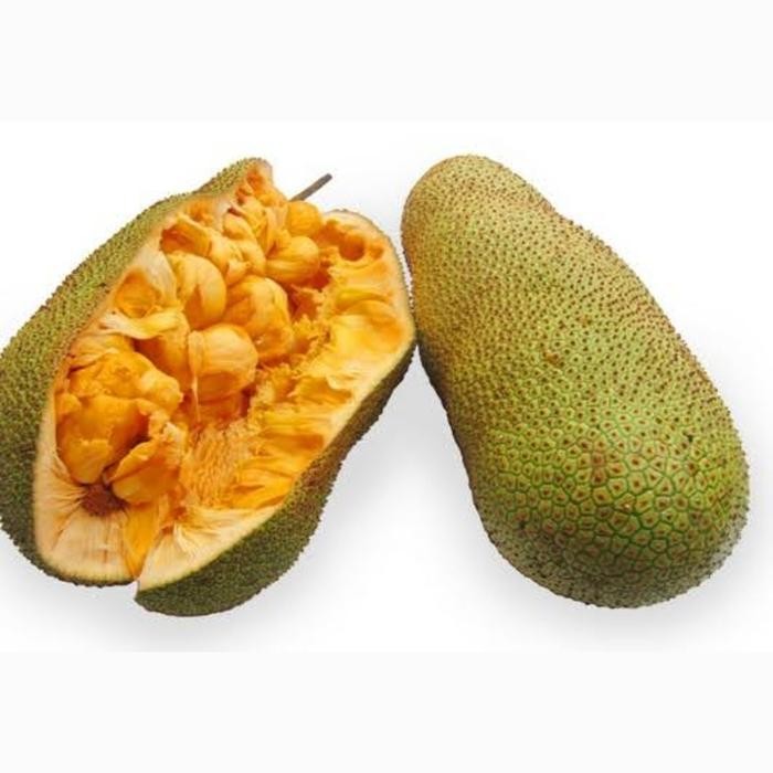 

DISKON Buah Cempedak Manis - 1 Buah READY STOCK